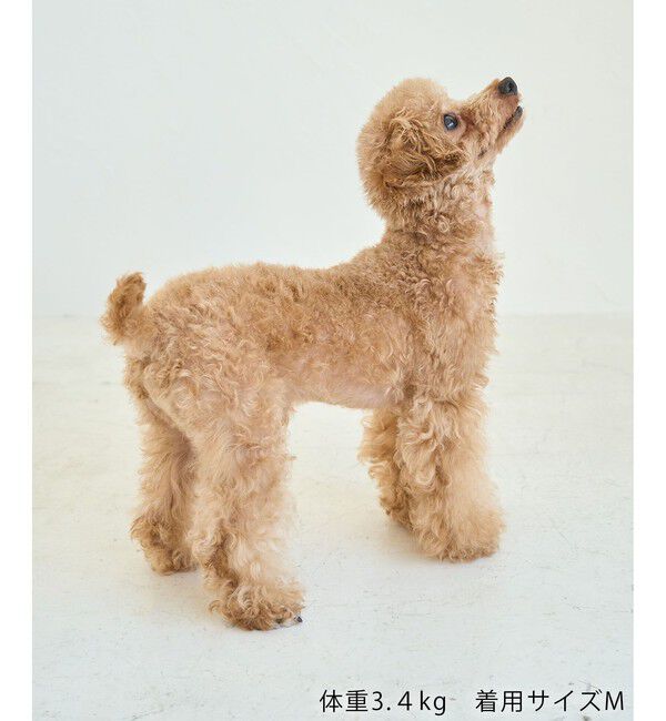 ROPE PICNIC PASSAGE「【DOG】チェック柄シャギーベスト」|その他|