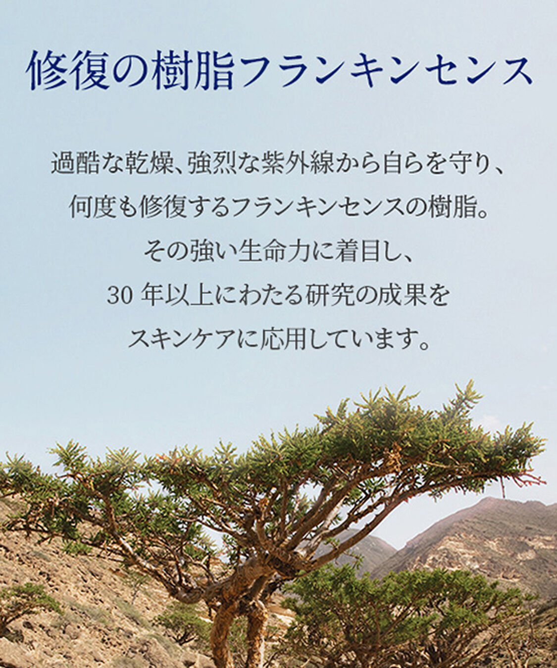 NEAL&rsquo;S YARD REMEDIES「フランキンセンス フェイシャルオイル　28ml」|美容液・オイル・クリーム|