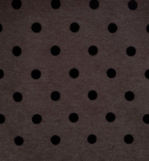 NOLLEY'S「《手洗い可能》フロッキードットプリントクルーネックカーディガン」|カーディガン|