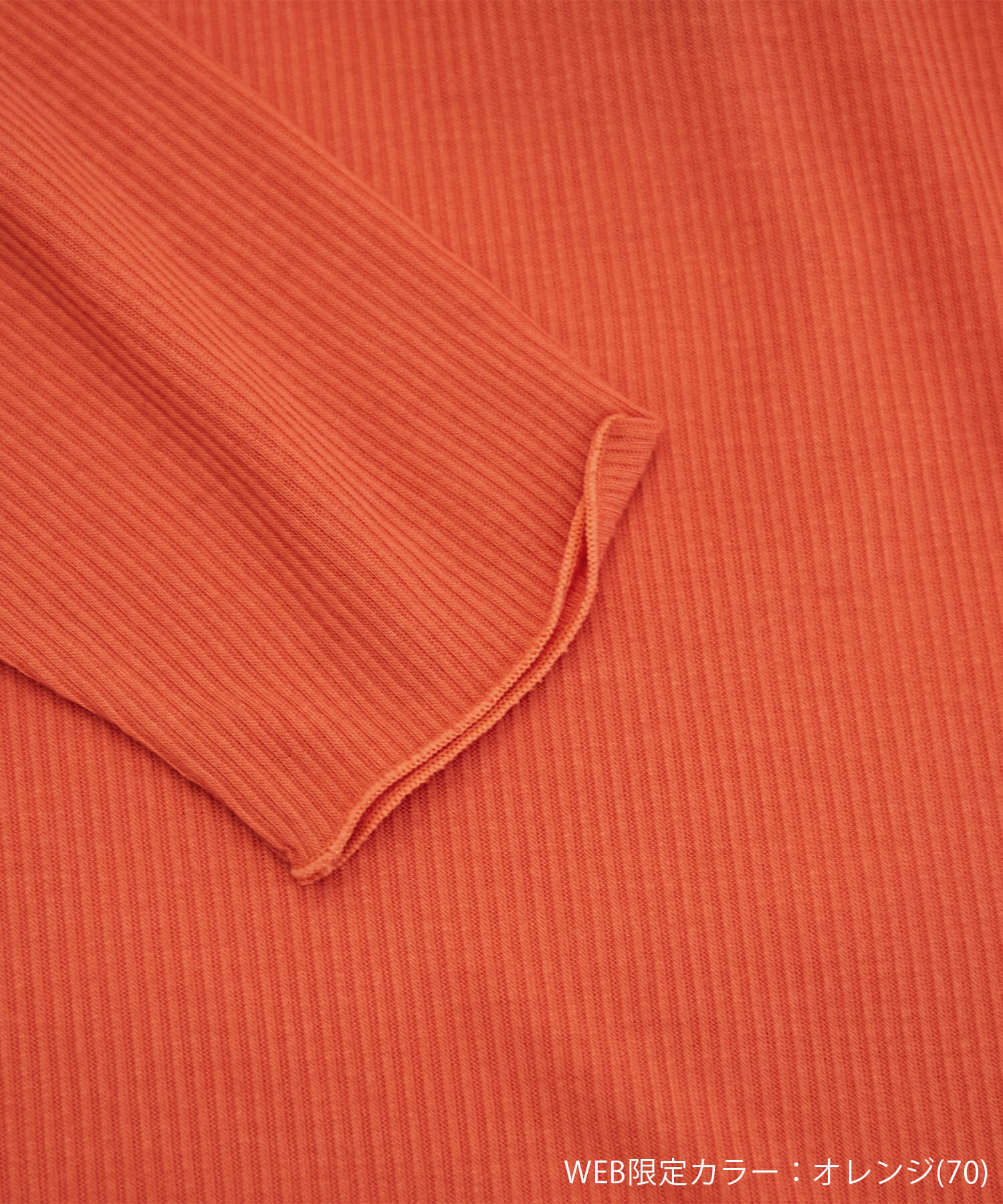 Rope&rsquo;Picnic「【WEB限定カラー:チャコール,オレンジ】シアーカットタートル」|Tシャツ・カットソー|