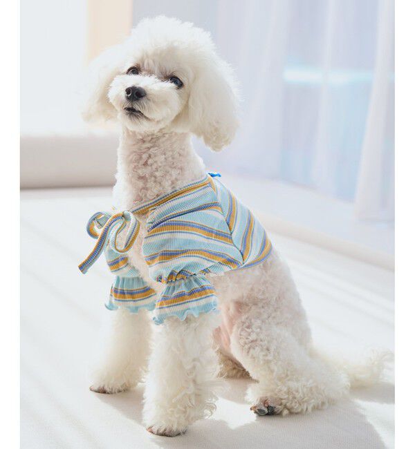 ROPE PICNIC PASSAGE「【DOG】マルチボーダーリブボレロ」|その他|