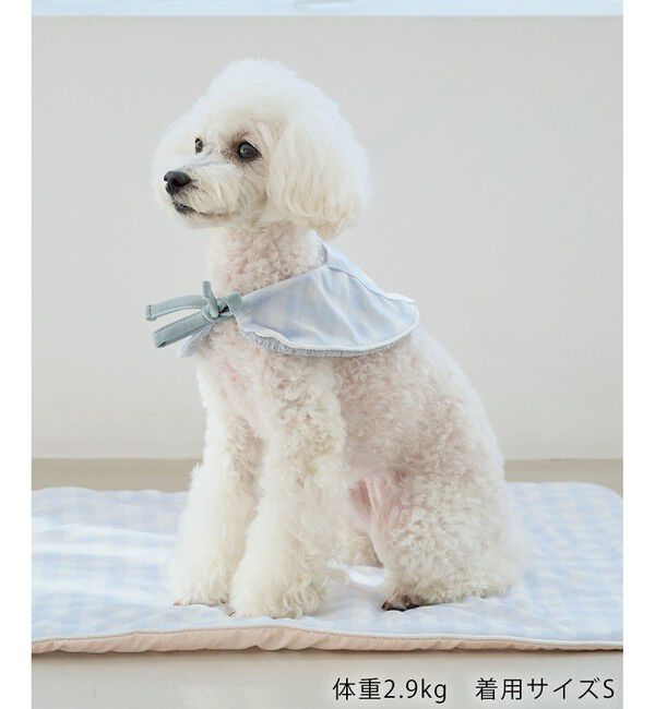 ROPE PICNIC PASSAGE「【DOG】マルチボーダーリブボレロ」|その他|