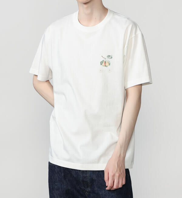  「History of Art | プリントTシャツ PEAR MEN」|Tシャツ・カットソー|