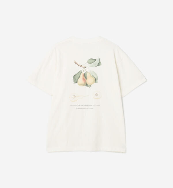  「History of Art | プリントTシャツ PEAR MEN」|Tシャツ・カットソー|