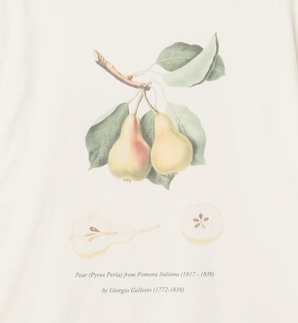  「History of Art | プリントTシャツ PEAR MEN」|Tシャツ・カットソー|