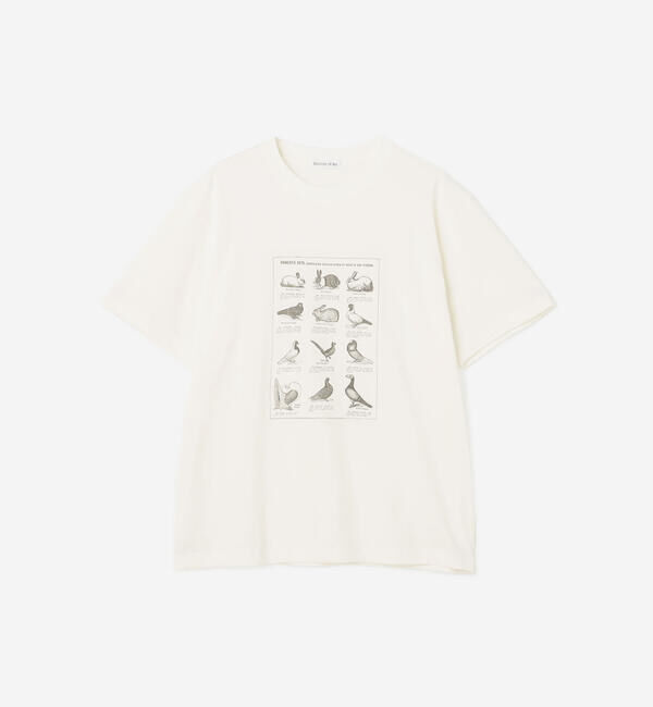  「History of Art | プリントTシャツ RABBITS & BIRDS MEN」|Tシャツ・カットソー|