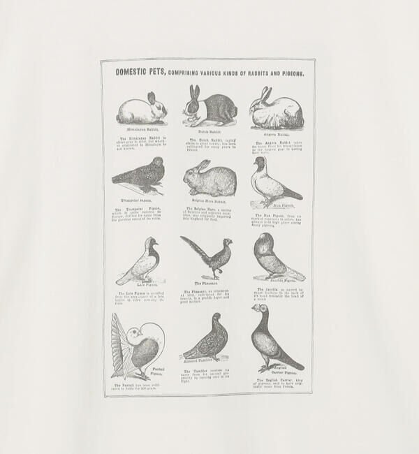  「History of Art | プリントTシャツ RABBITS & BIRDS MEN」|Tシャツ・カットソー|