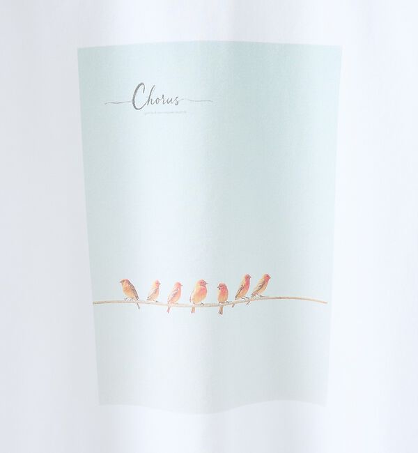 ABAHOUSE「【BIRD】 グラフィックTシャツ」|Tシャツ・カットソー|