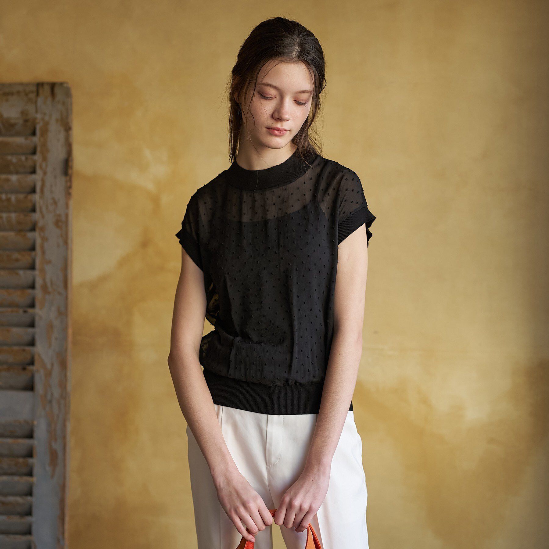 DRESSTERIOR「【再入荷/ウォッシャブル】ドットジャカード プルオーバー」|シャツ・ブラウス|