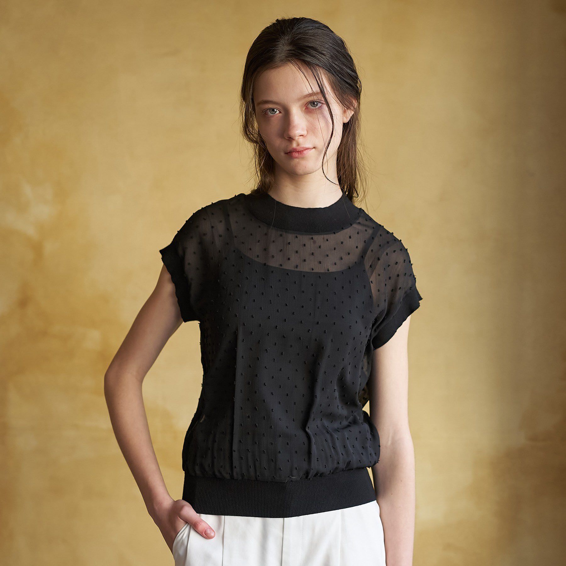 DRESSTERIOR「【再入荷/ウォッシャブル】ドットジャカード プルオーバー」|シャツ・ブラウス|