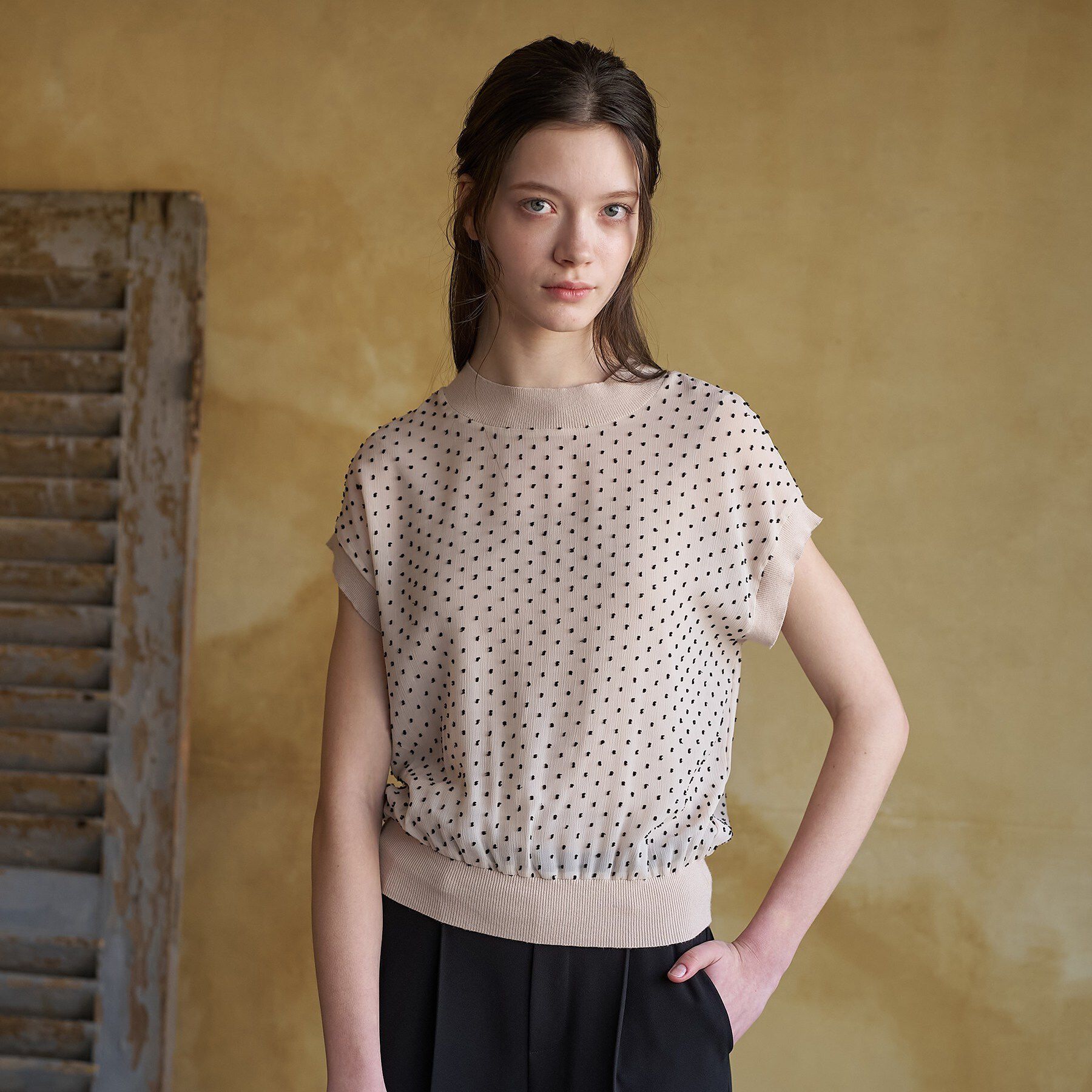 DRESSTERIOR「【再入荷/ウォッシャブル】ドットジャカード プルオーバー」|シャツ・ブラウス|