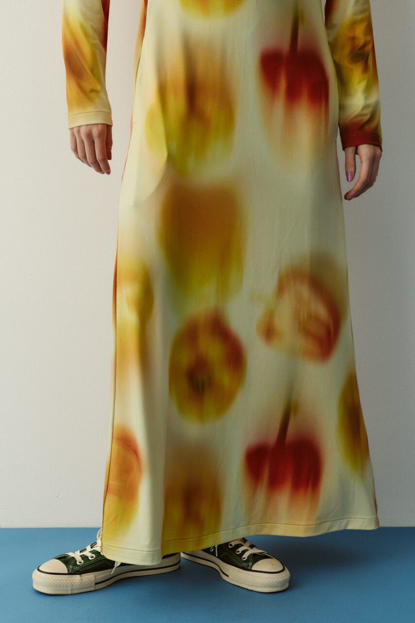 HeRIN.CYE「Paprika pattern dress」|ワンピース|