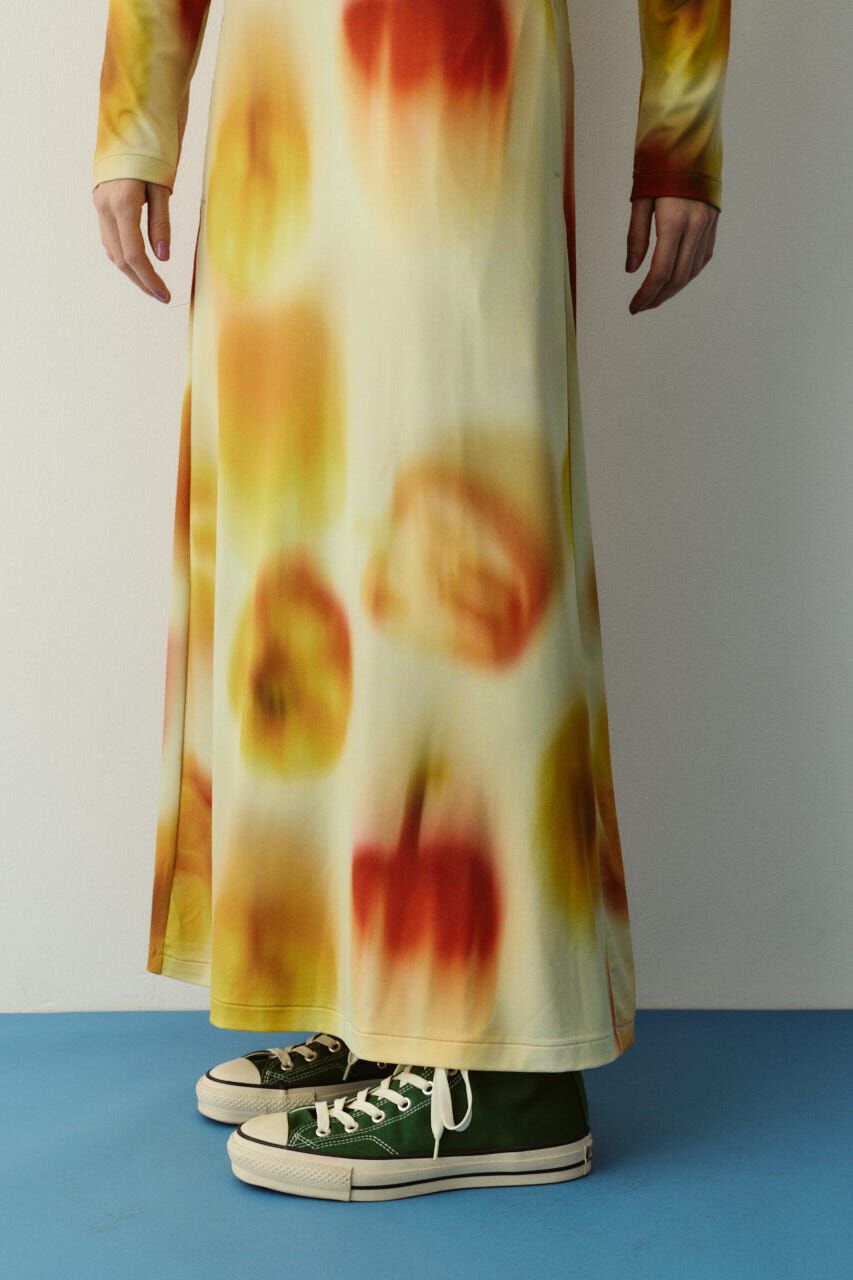 HeRIN.CYE「Paprika pattern dress」|ワンピース|
