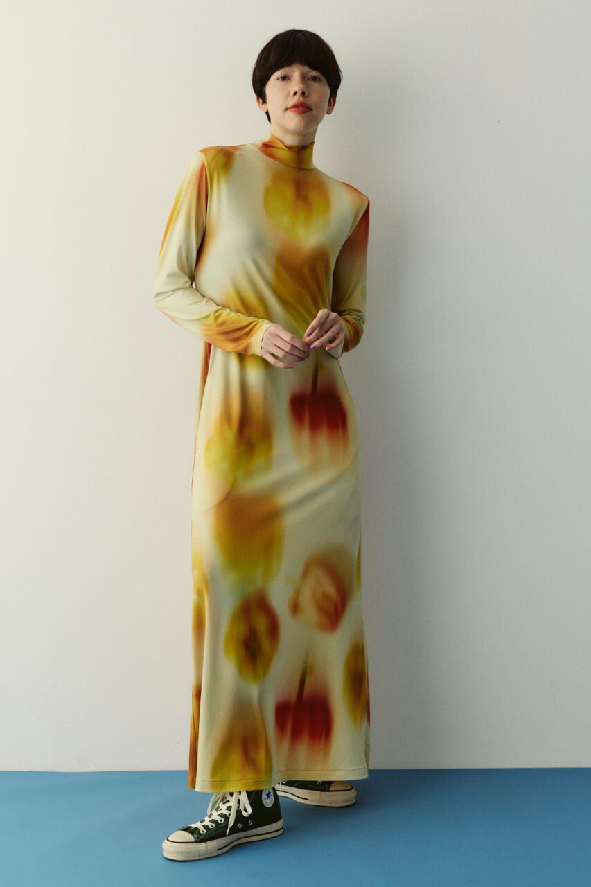 HeRIN.CYE「Paprika pattern dress」|ワンピース|