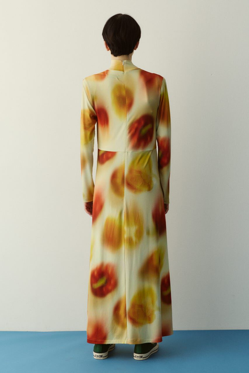 HeRIN.CYE「Paprika pattern dress」|ワンピース|