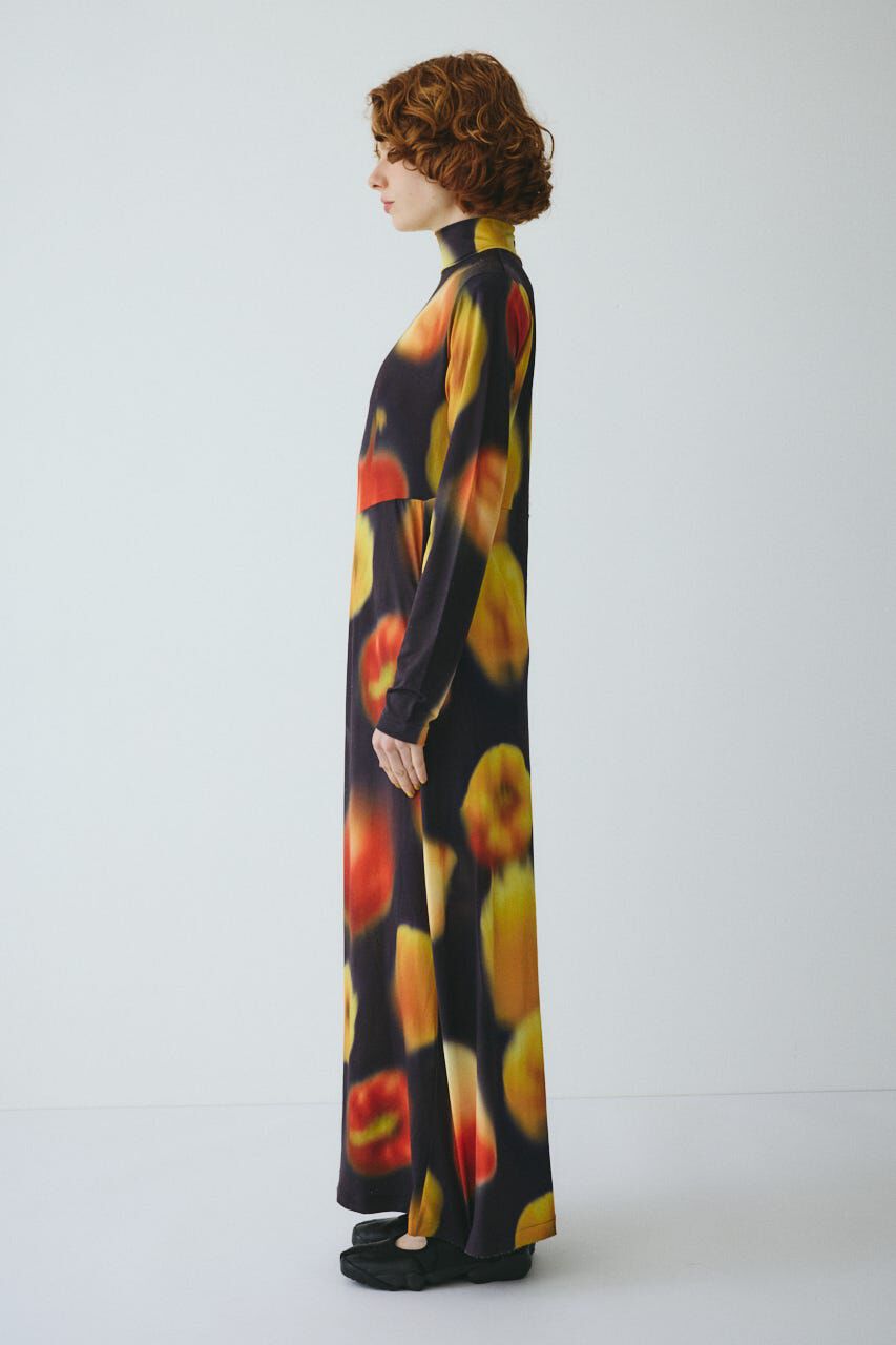 HeRIN.CYE「Paprika pattern dress」|ワンピース|