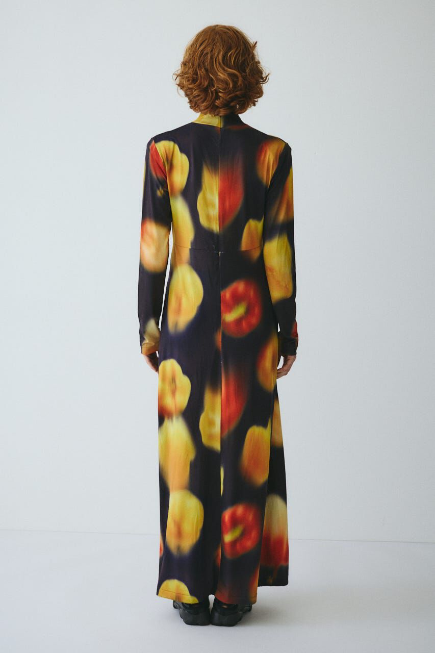 HeRIN.CYE「Paprika pattern dress」|ワンピース|