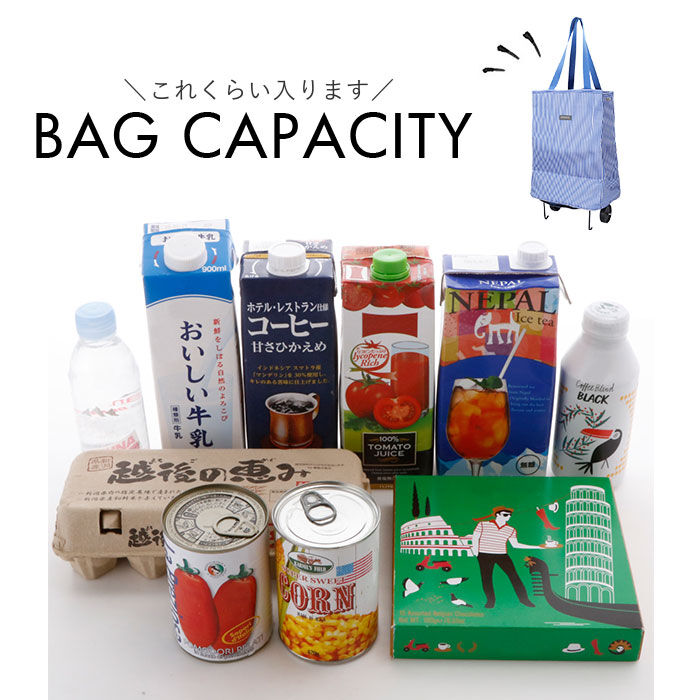 BACKYARD FAMILY「cocoro ショッピングカート 通販 ショッピング カート 折りたたみカート キャリーバッグ」|キャリーケース|