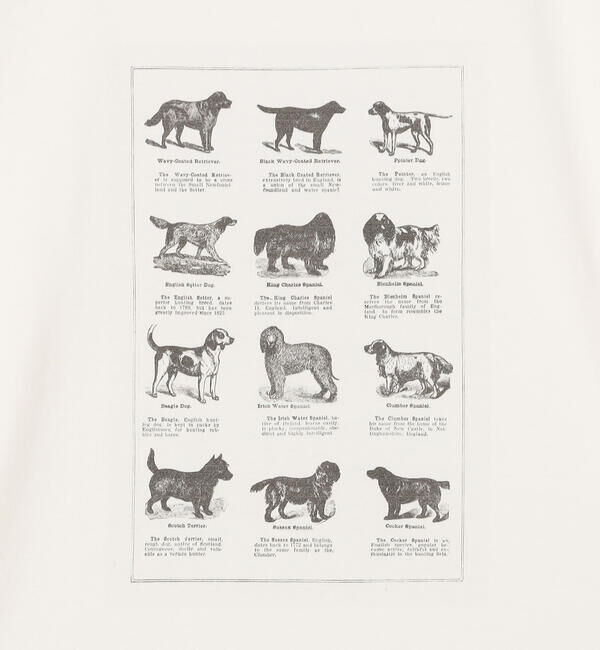  「History of Art | プリントTシャツ DOG MEN」|Tシャツ・カットソー|