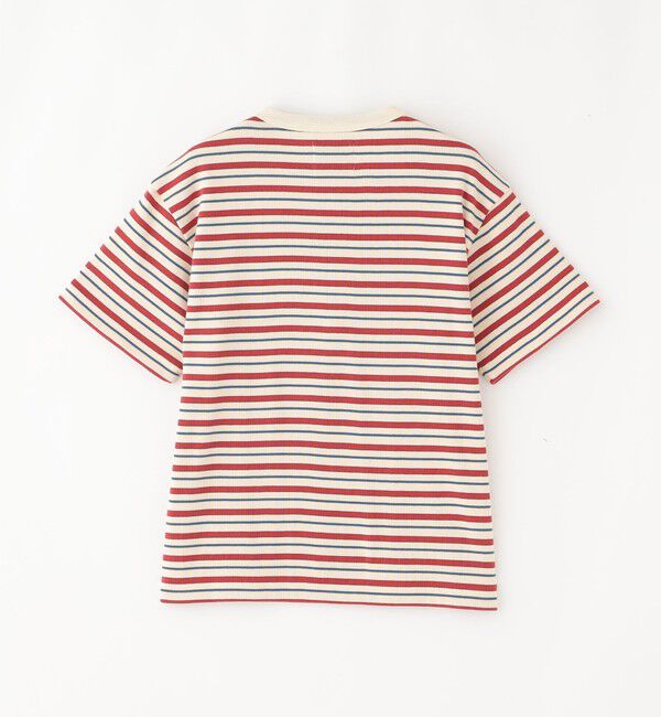MACKINTOSH PHILOSOPHY「バッキンガムベア マルチボーダーTシャツ」|Tシャツ・カットソー|