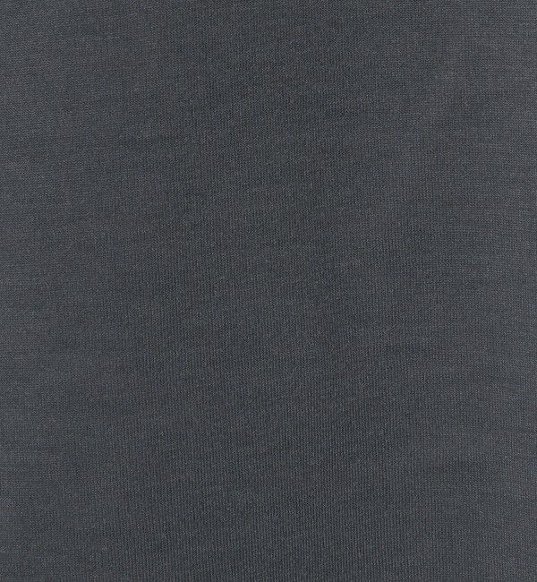 STEVEN ALAN「＜Steven Alan＞ AQUA Tシャツ BOLD」|Tシャツ・カットソー|