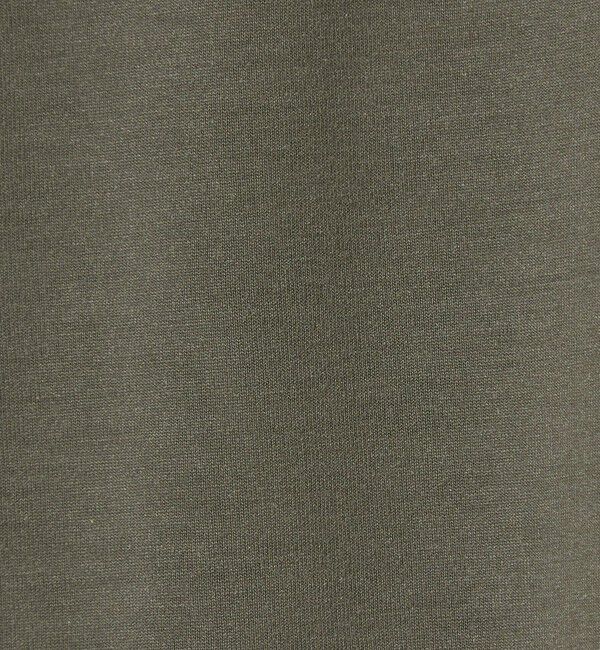 STEVEN ALAN「＜Steven Alan＞ AQUA Tシャツ BOLD」|Tシャツ・カットソー|