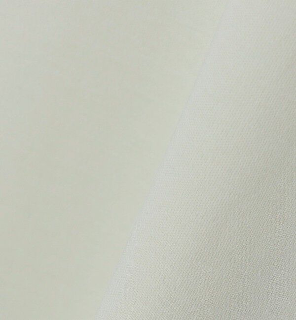 SHIPS Colors 「SHIPS Colors:〈抗菌防臭・接触冷感・紫外線軽減〉スムース ビズT◇」|Tシャツ・カットソー|