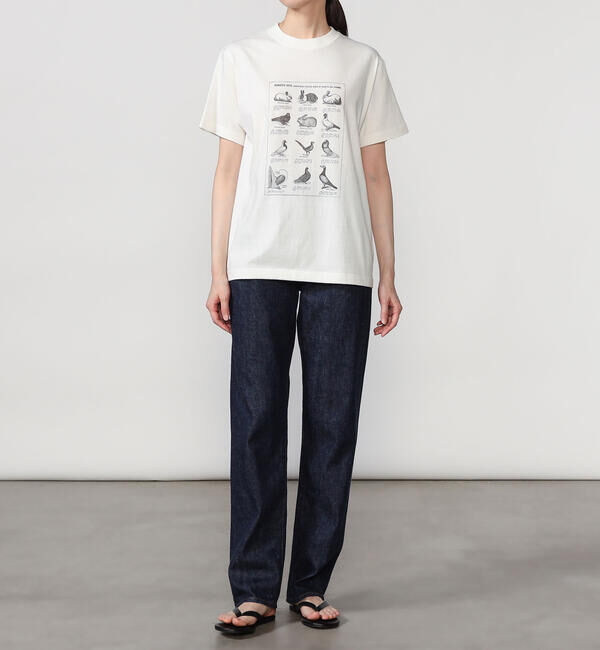  「History of Art | プリントTシャツ RABBITS & BIRDS WOMEN」|Tシャツ・カットソー|