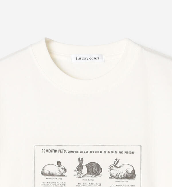  「History of Art | プリントTシャツ RABBITS & BIRDS WOMEN」|Tシャツ・カットソー|
