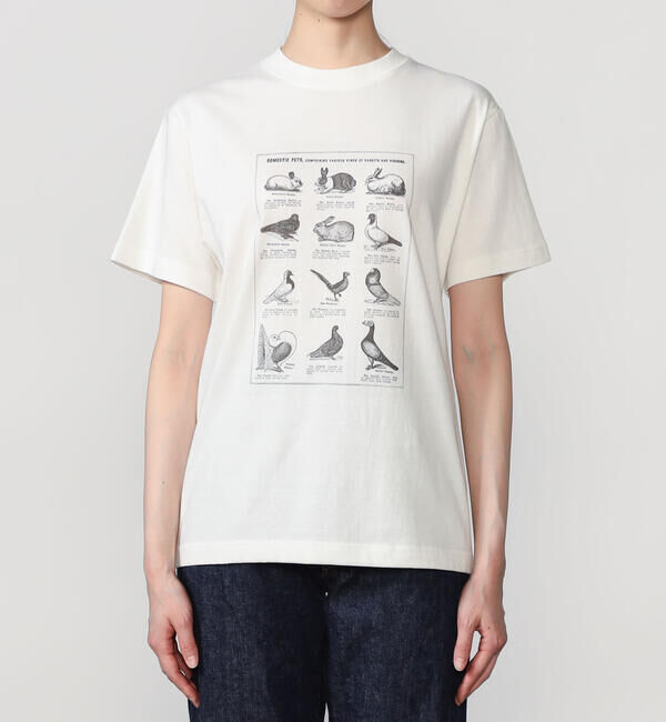  「History of Art | プリントTシャツ RABBITS & BIRDS WOMEN」|Tシャツ・カットソー|