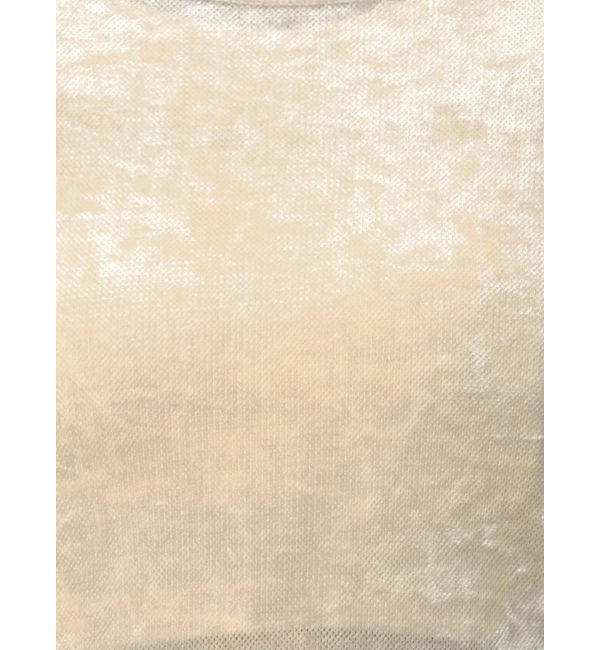 dazzlin「シアーベロアレイヤードトップス」|Tシャツ・カットソー|