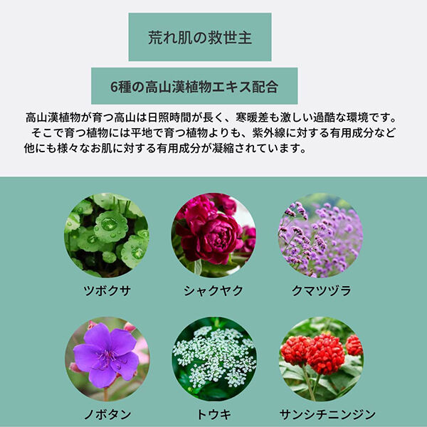  「DR PLANT CICAモイストスムーズマスク (7枚)」|フェイスマスク・パック|