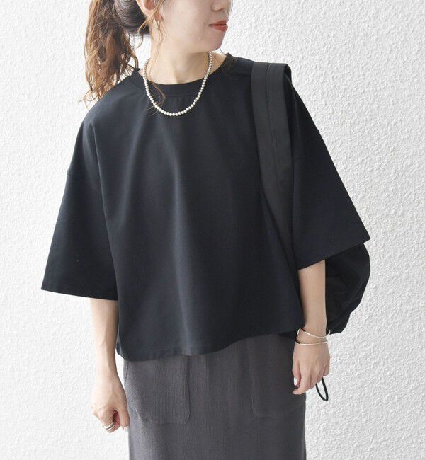 SHIPS any「【WEB限定】SHIPS any:〈洗濯機可能〉インレイ ハーフスリーブ ショートTEE」|Tシャツ・カットソー|