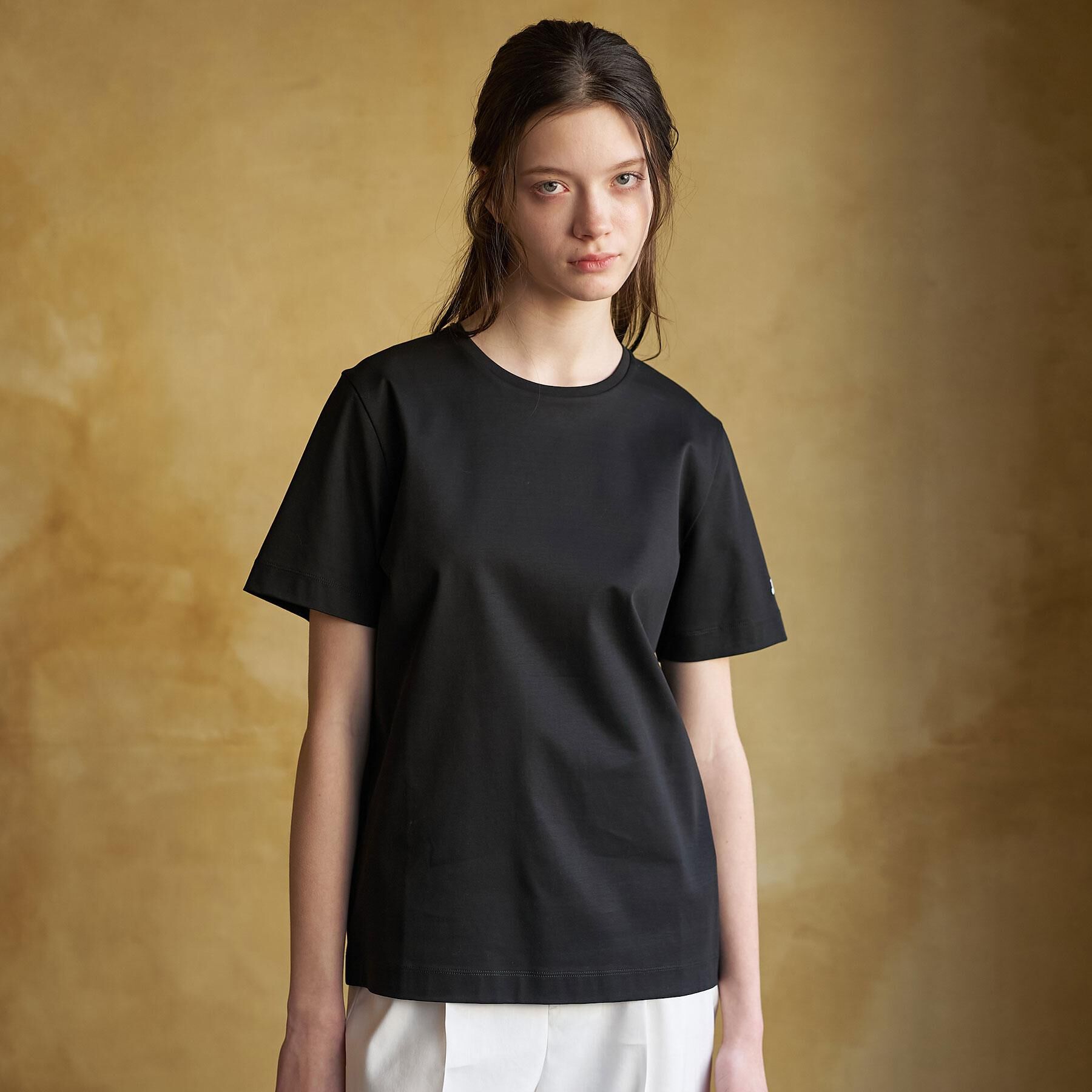 DRESSTERIOR「【接触冷感／抗菌防臭／消臭】アイスクリアコットンTシャツ」|Tシャツ・カットソー|