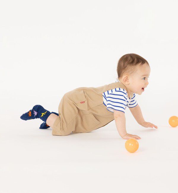SHIPS KIDS「SHIPS KIDS:ベビー ダイナソー ソックス」|ソックス|