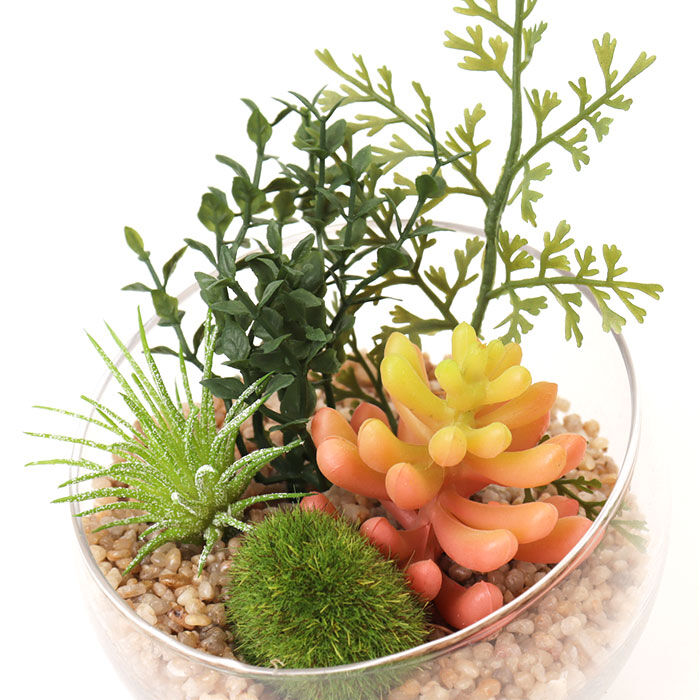 BACKYARD FAMILY「CT触媒 フェイクグリーン 通販 キシマ Lサイズ アーティフィシャルグリーン 観葉植物 フェイク」|その他|