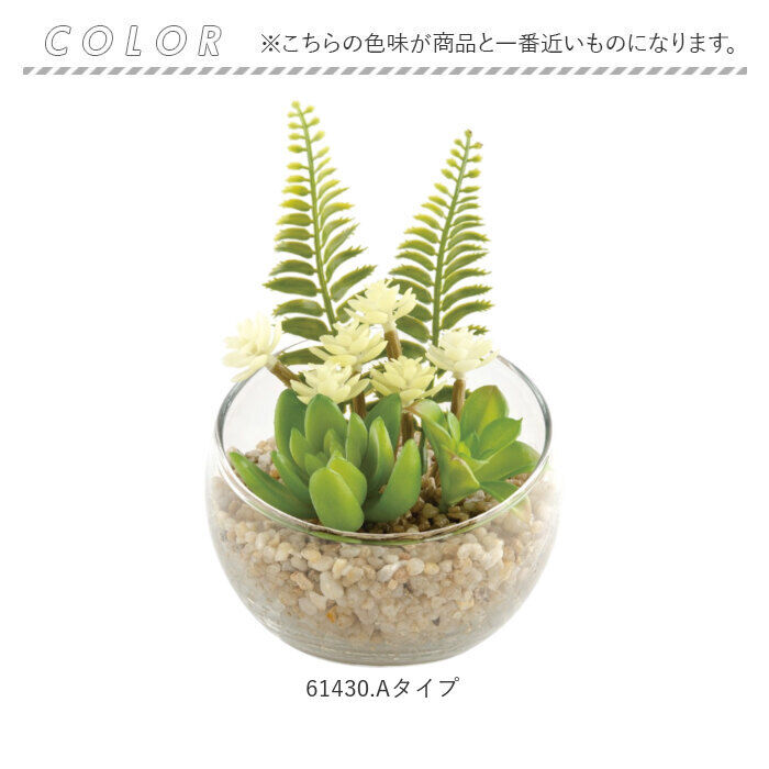 BACKYARD FAMILY「CT触媒 フェイクグリーン 通販 キシマ Lサイズ アーティフィシャルグリーン 観葉植物 フェイク」|その他|