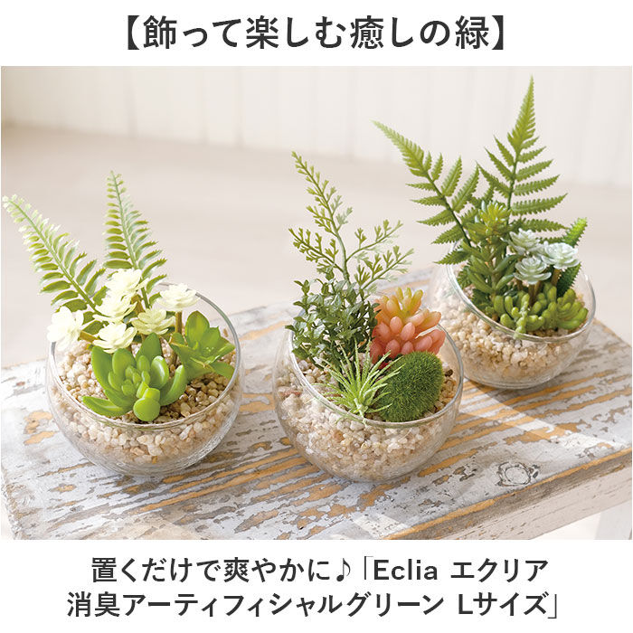 BACKYARD FAMILY「CT触媒 フェイクグリーン 通販 キシマ Lサイズ アーティフィシャルグリーン 観葉植物 フェイク」|その他|
