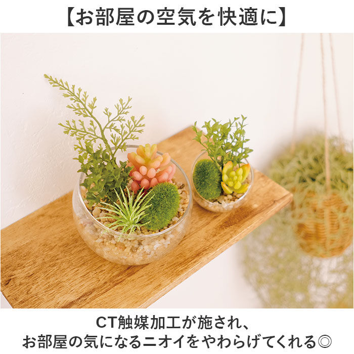 BACKYARD FAMILY「CT触媒 フェイクグリーン 通販 キシマ Lサイズ アーティフィシャルグリーン 観葉植物 フェイク」|その他|