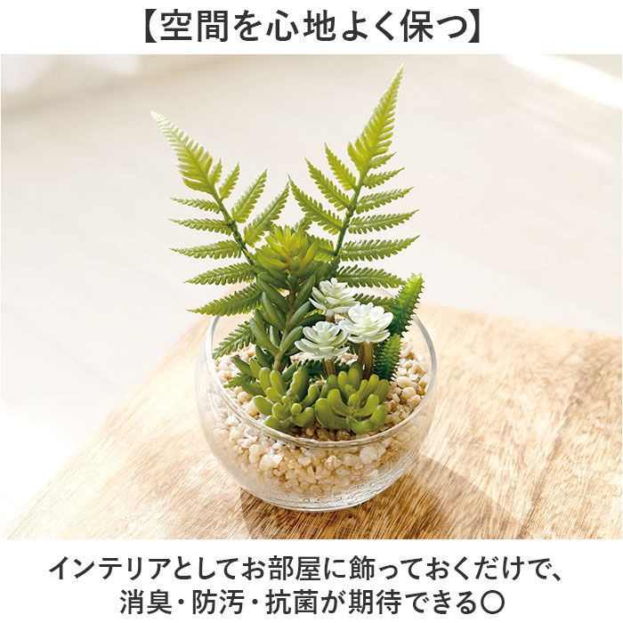 BACKYARD FAMILY「CT触媒 フェイクグリーン 通販 キシマ Lサイズ アーティフィシャルグリーン 観葉植物 フェイク」|その他|