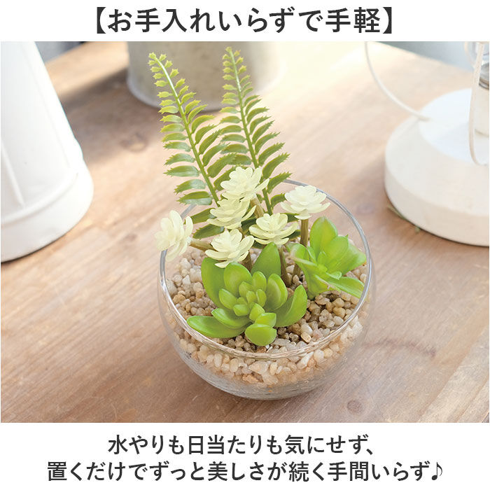 BACKYARD FAMILY「CT触媒 フェイクグリーン 通販 キシマ Lサイズ アーティフィシャルグリーン 観葉植物 フェイク」|その他|
