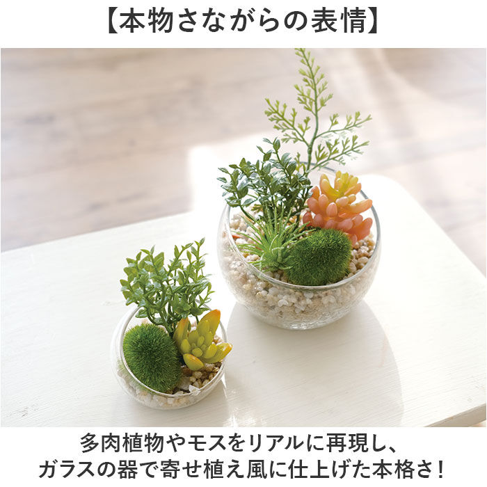 BACKYARD FAMILY「CT触媒 フェイクグリーン 通販 キシマ Lサイズ アーティフィシャルグリーン 観葉植物 フェイク」|その他|