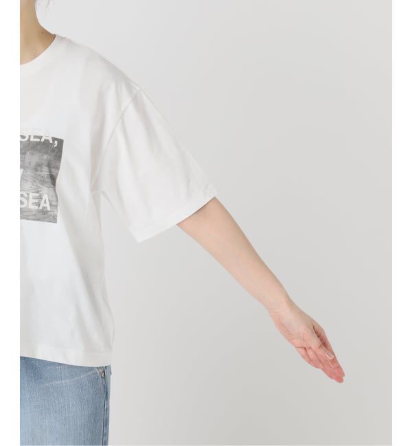 IENA「《WEB限定/追加》コットンフォトプリント ロゴTシャツ」|Tシャツ・カットソー|