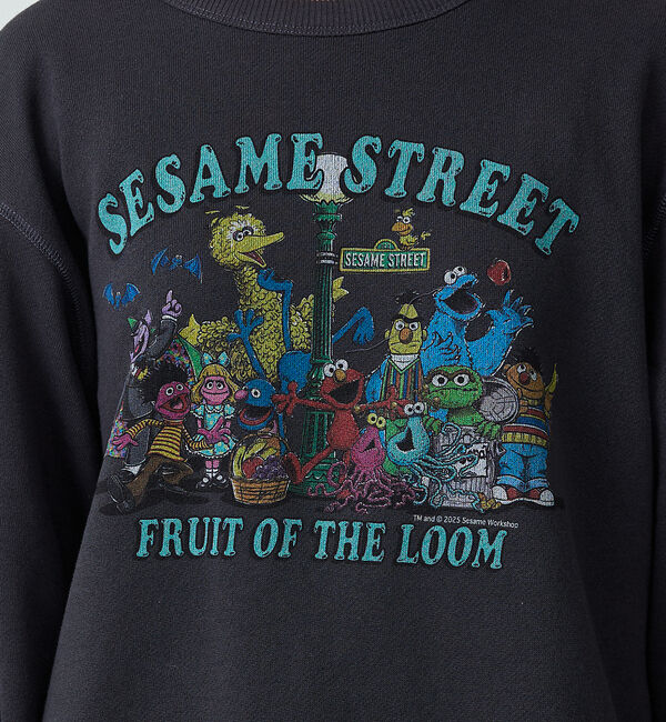ABAHOUSE「【FRUIT OF THE LOOM】ロングスリーブ甘編み裏毛1/スウェット【W」|スウェット・ジャージ|