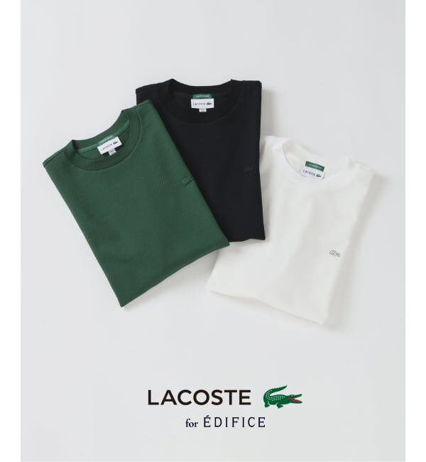 EDIFICE「LACOSTE(ラコステ) 別注 ニット Tシャツ」|Tシャツ・カットソー|