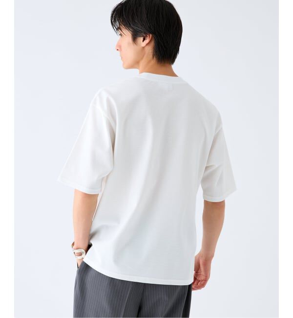 EDIFICE「LACOSTE(ラコステ) 別注 ニット Tシャツ」|Tシャツ・カットソー|