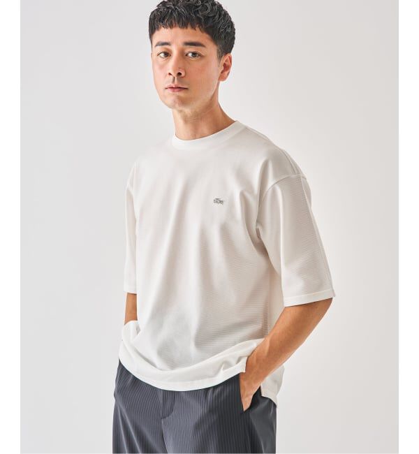 EDIFICE「LACOSTE(ラコステ) 別注 ニット Tシャツ」|Tシャツ・カットソー|
