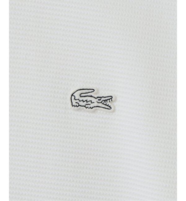 EDIFICE「LACOSTE(ラコステ) 別注 ニット Tシャツ」|Tシャツ・カットソー|