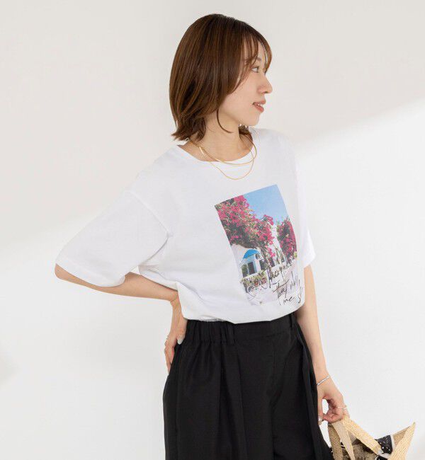 NOLLEY'S「ウォッシャブルフォトT」|Tシャツ・カットソー|