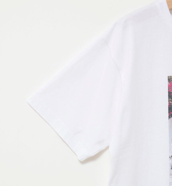 NOLLEY'S「ウォッシャブルフォトT」|Tシャツ・カットソー|
